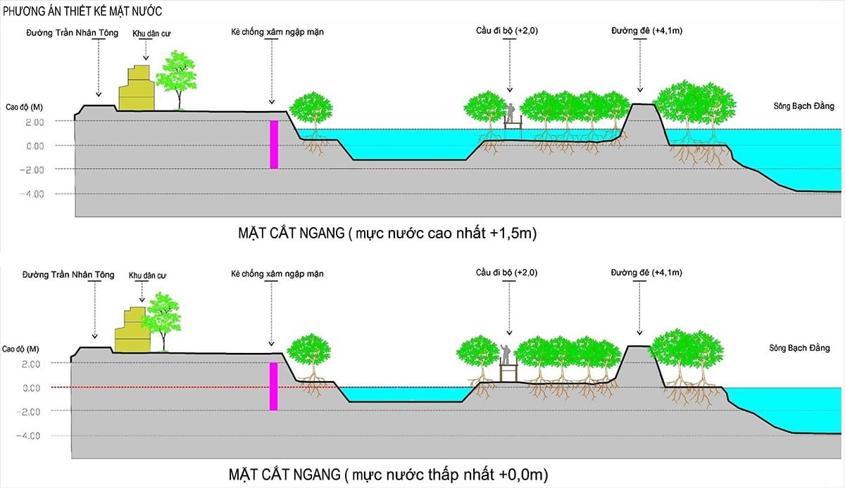 quy hoạch 1/500 spring ville