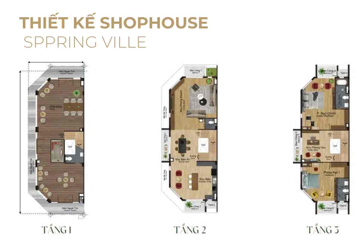 thiết kế shophouse spring ville